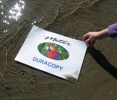 Duracopy Permanent Paper